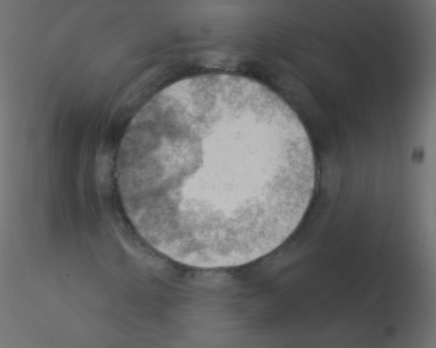 X0000115851154200912242032