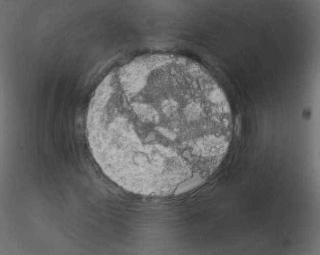 X0000115851155200912242032