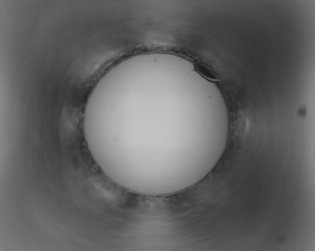 X0000115851157200912242032