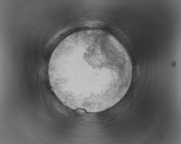 X0000115851158200912242032