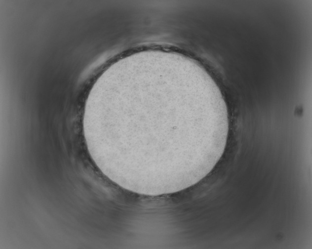 X0000115851159200912242032