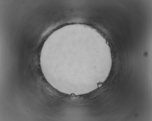 X0000115851160200912242032