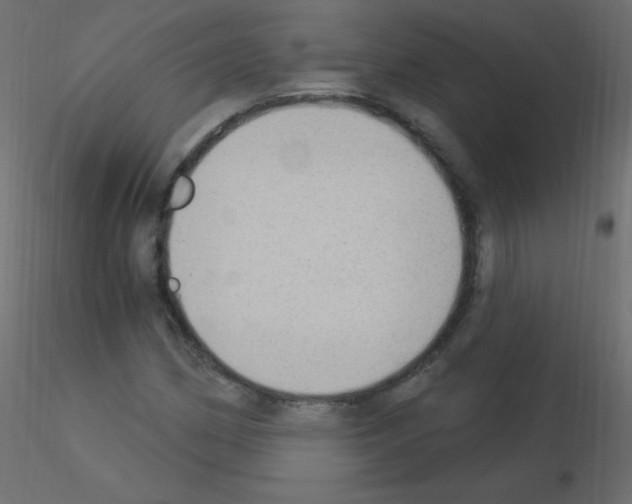 X0000115851162200912242031