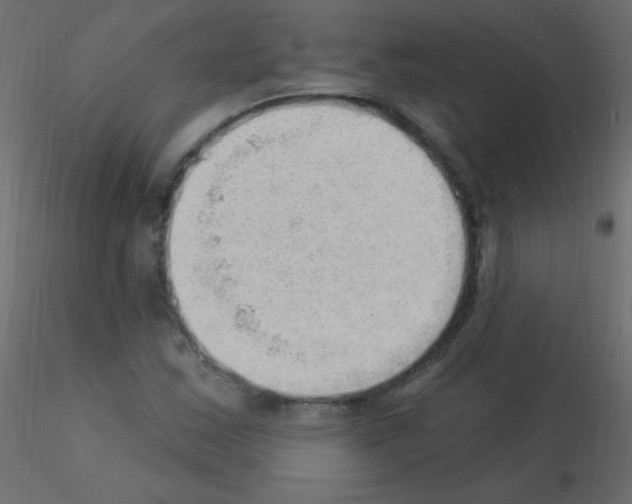 X0000115851163200912242031