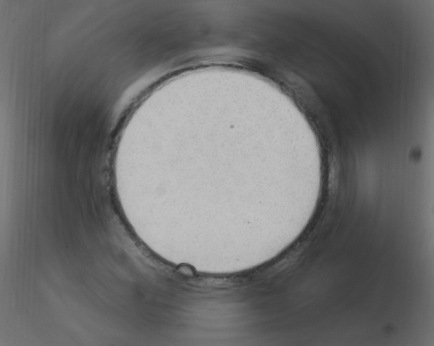 X0000115851164200912242031