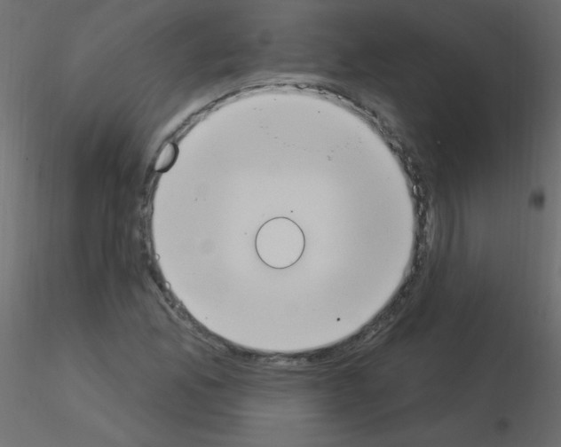 X0000115851165200912242031