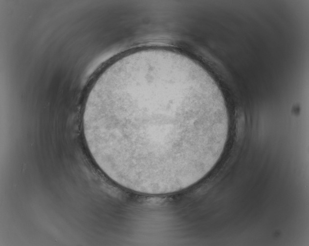 X0000115851166200912242031
