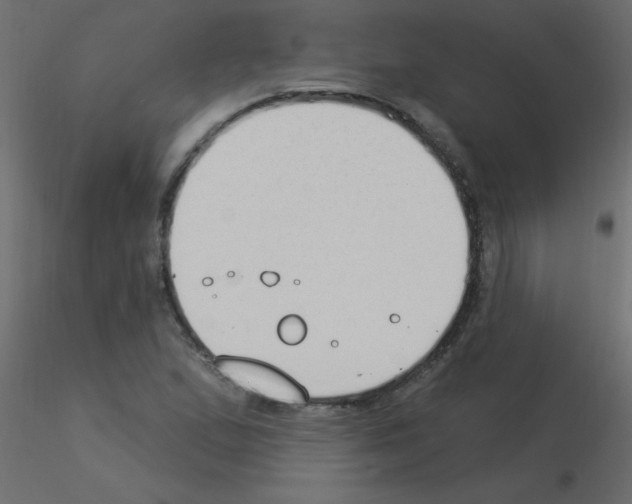 X0000115851167200912242031