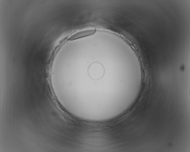 X0000115851168200912242031
