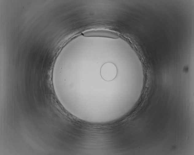 X0000115851169200912242031