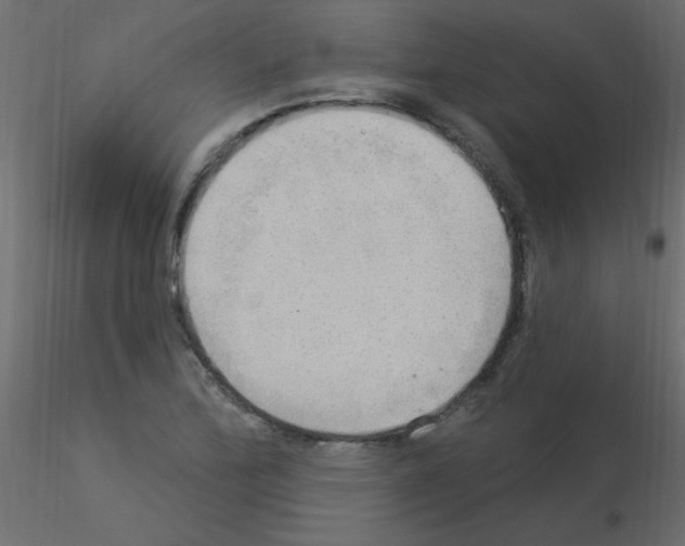 X0000115851172200912242031