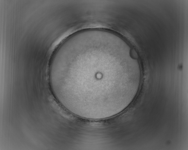 X0000115851173200912242031
