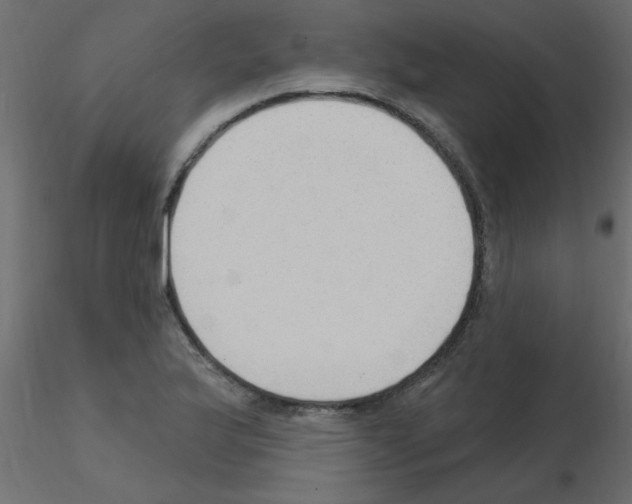 X0000115851175200912242031