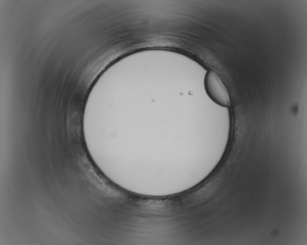 X0000115851177200912242031