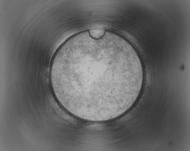 X0000115851178200912242031