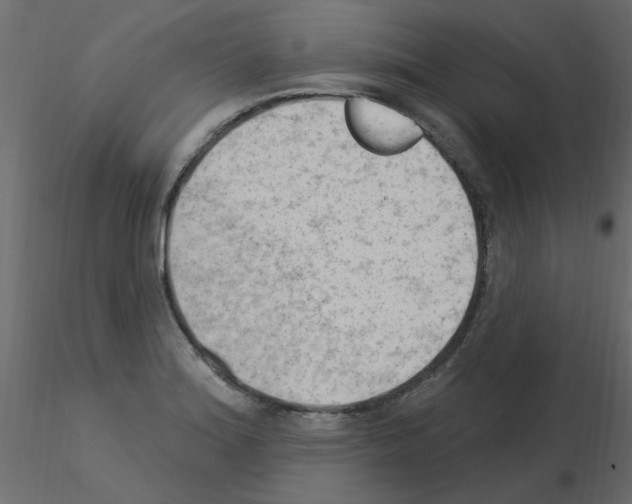 X0000115851180200912242031