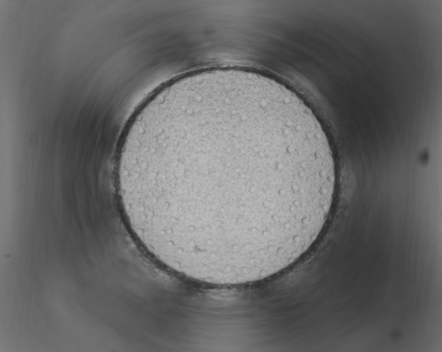 X0000115851182200912242031