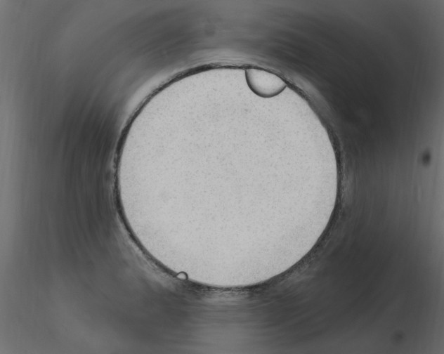 X0000115851183200912242031