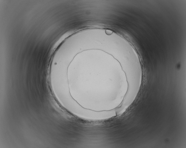 X0000115851187200912242031