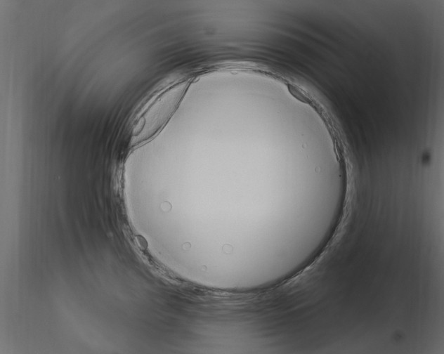 X0000115851193200912242031