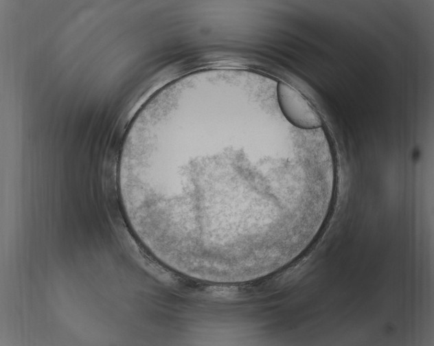 X0000115851194200912242031