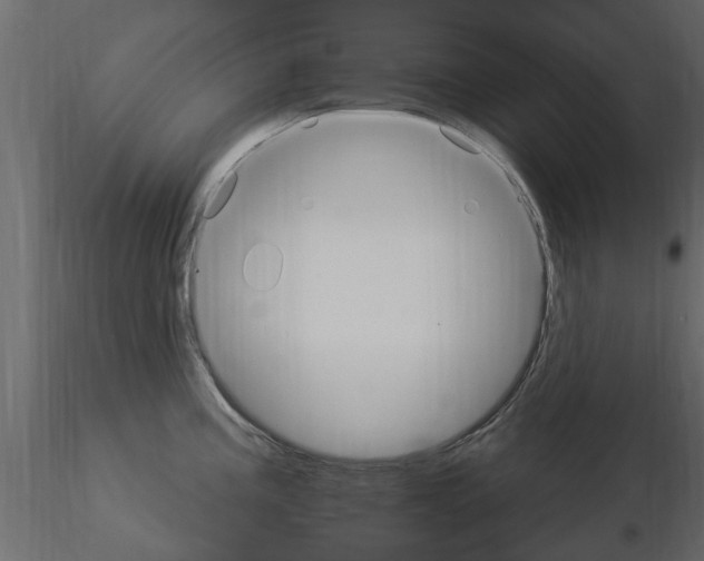 X0000115851195200912242031