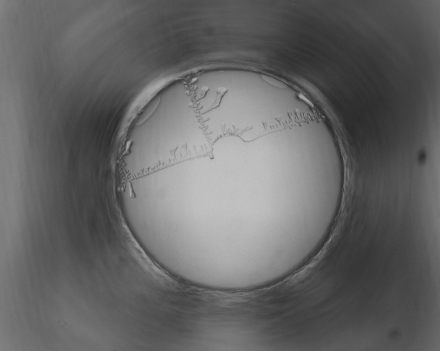 X0000115851196200912242031