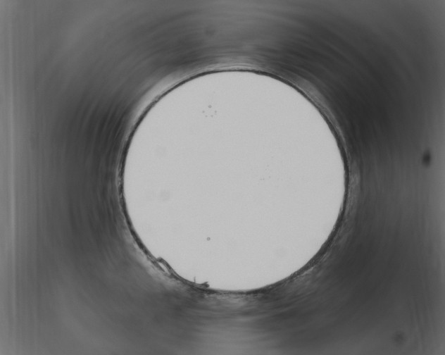 X0000115851197200912242031