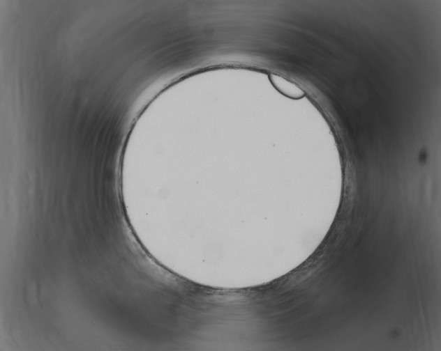X0000115851199200912242031