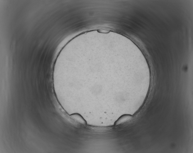 X0000115851200200912242031