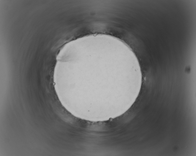 X0000115851201200912242030
