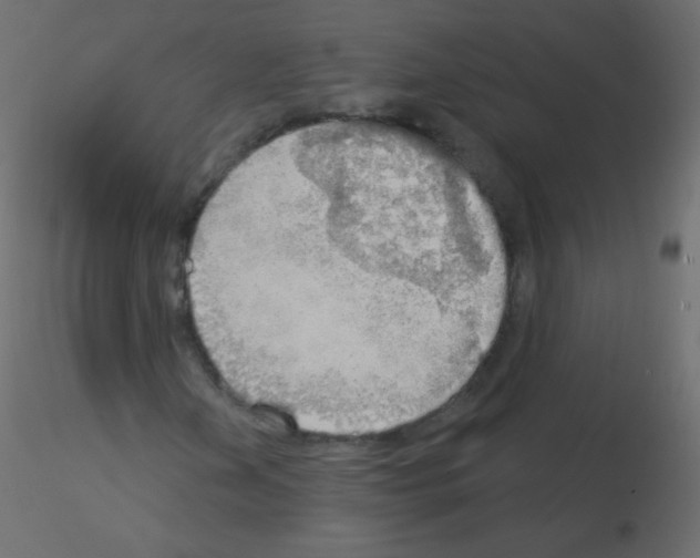 X0000115851202200912242030