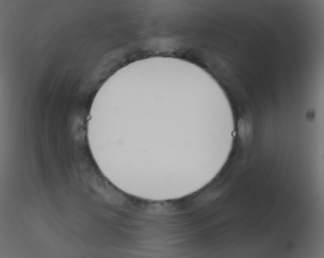 X0000115851203200912242030
