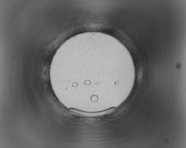 X0000115851204200912242030