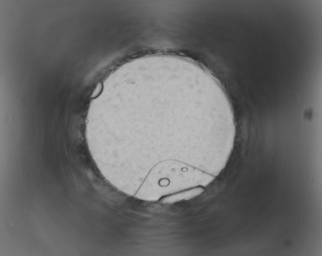 X0000115851205200912242030