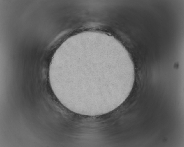 X0000115851206200912242030