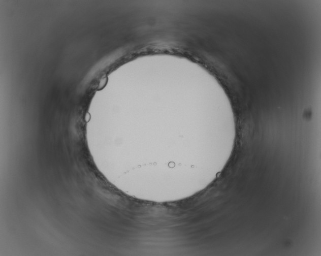 X0000115851207200912242030