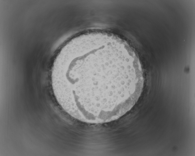 X0000115851208200912242030