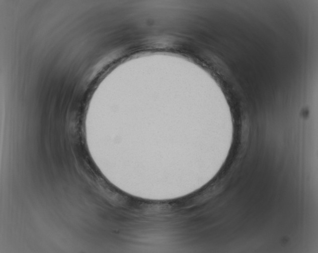 X0000115851210200912242030