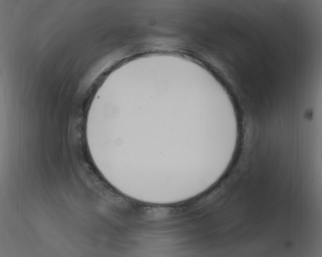 X0000115851211200912242030
