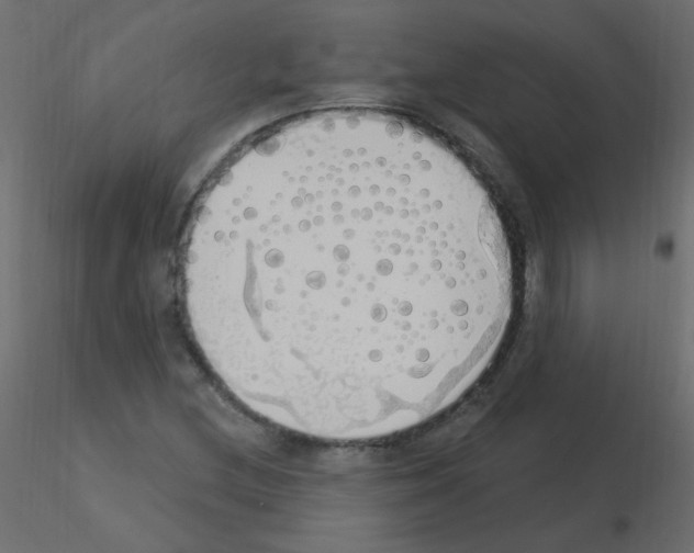 X0000115851212200912242030