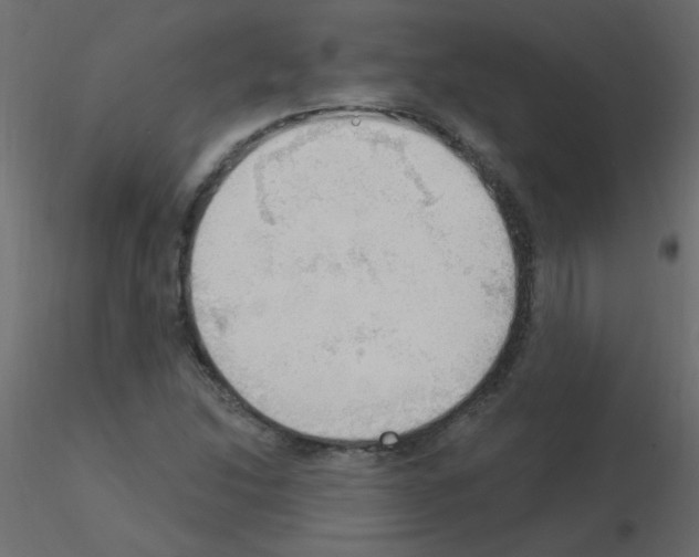 X0000115851214200912242030