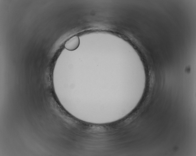 X0000115851215200912242031