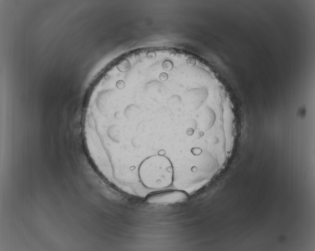 X0000115851216200912242031