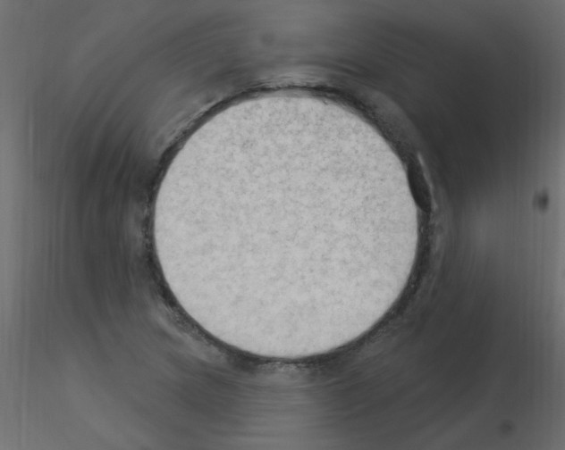 X0000115851217200912242031
