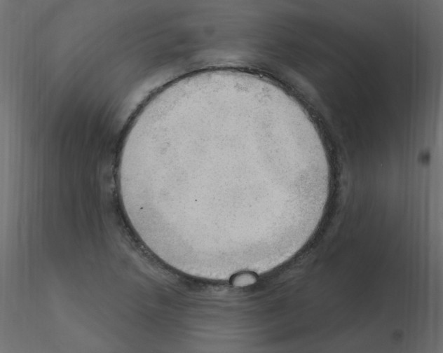 X0000115851218200912242031