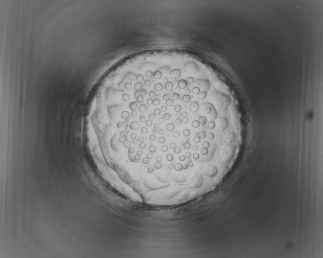 X0000115851220200912242031