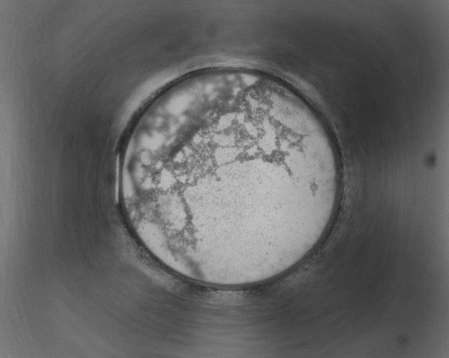X0000115851223200912242031