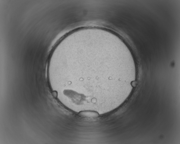 X0000115851224200912242031