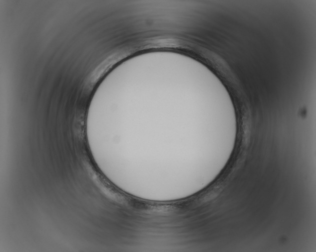 X0000115851225200912242031